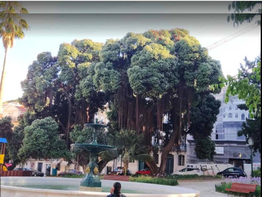 Alegramente Leilighet Lisboa Eksteriør bilde